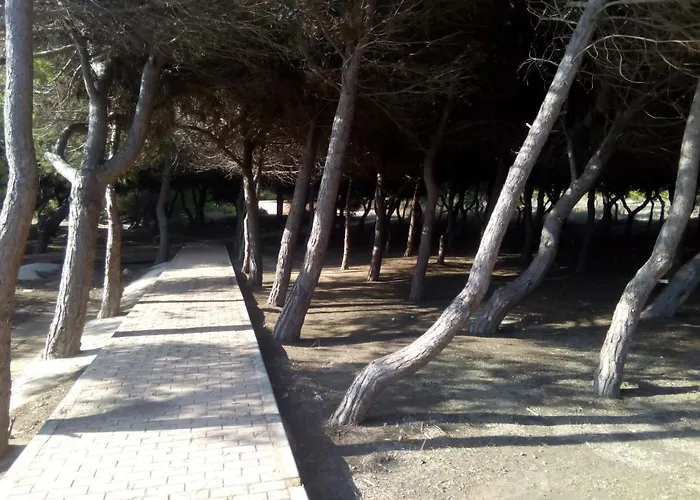 شقة La Mata Cabo Cervera *